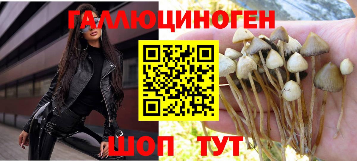 Анжеро-Судженск  Псилоцибиновые грибы ЛСД  Вход с VPN 